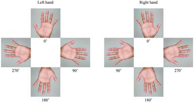 Supplementary motor area is deactivated during mental rotation tasks with biomechanical constraints in fMRI